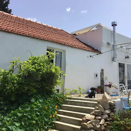 Lägenhet Casa Do Gato Preto Arganil